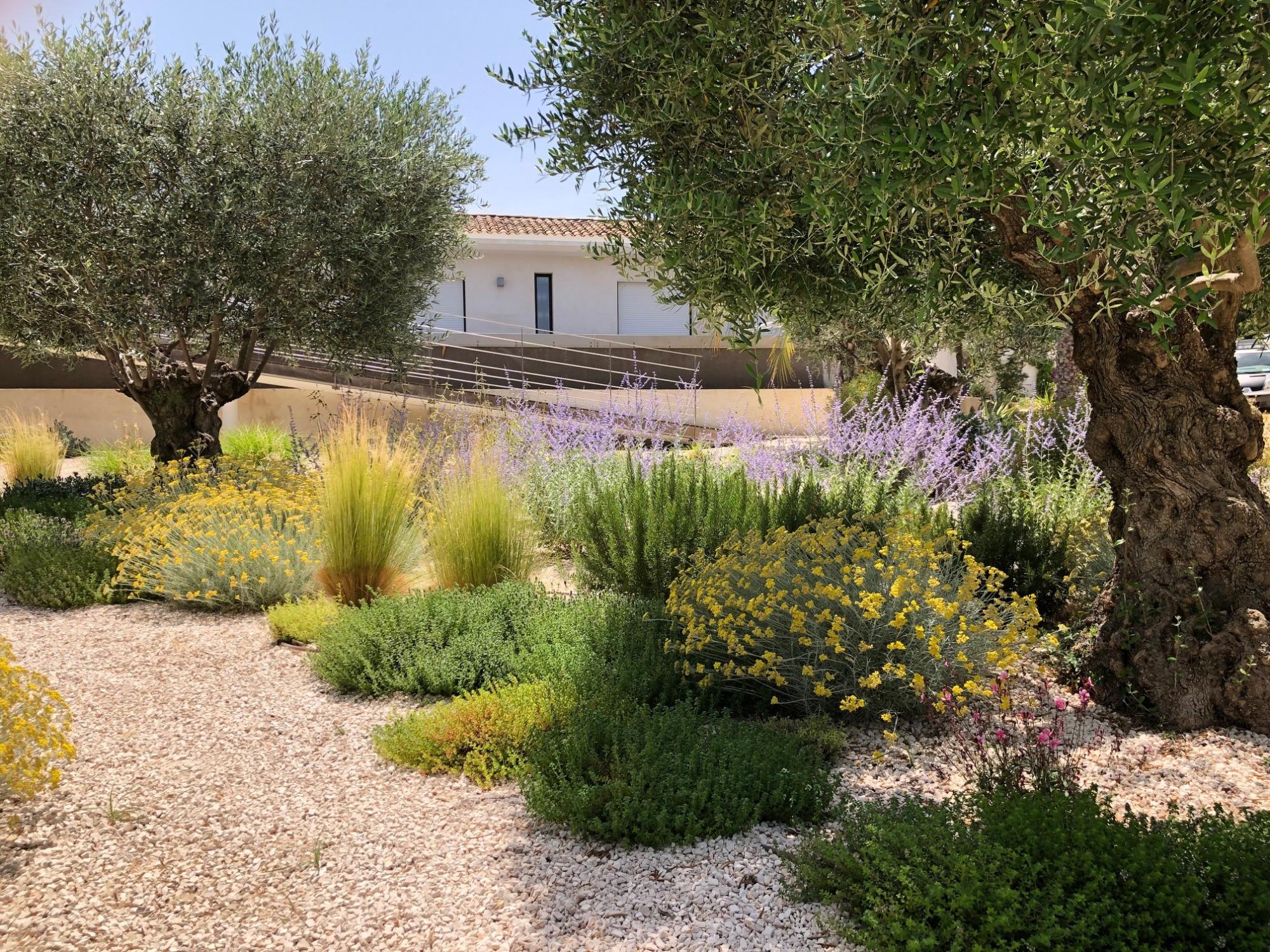 Entreprise de jardinage Bandol entretien