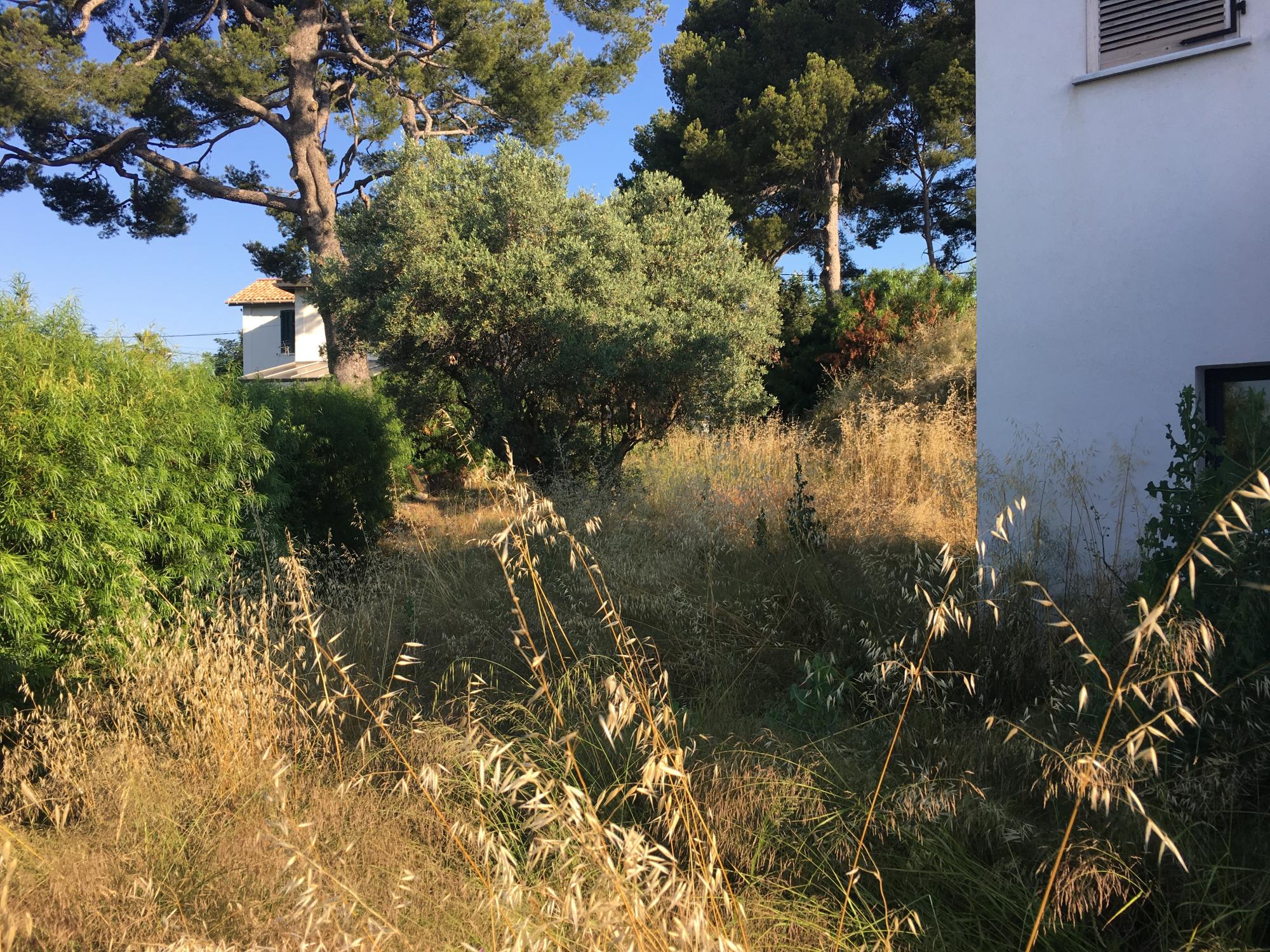 Entretien de jardin Bandol prestations