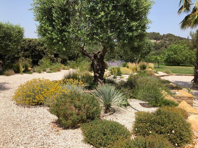 Entretien de jardin Bandol massifs fleuris