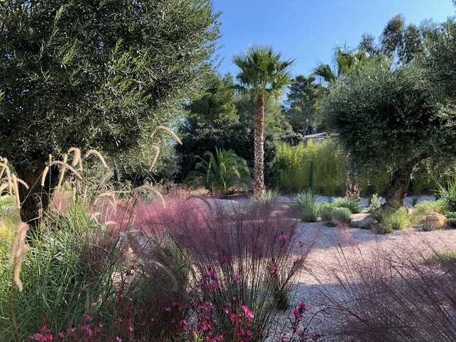 Entretien de jardin Bandol massifs fleuris