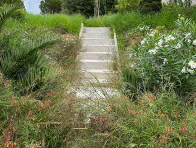 Entretien de jardin Bandol 