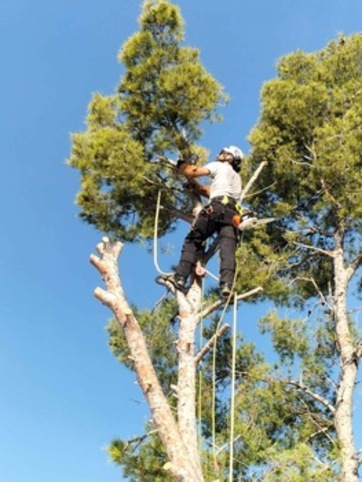 Cordes et lagueur