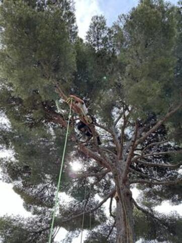 Entretien de jardin Bandol 