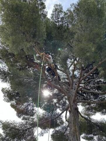 Entretien de jardin Bandol 