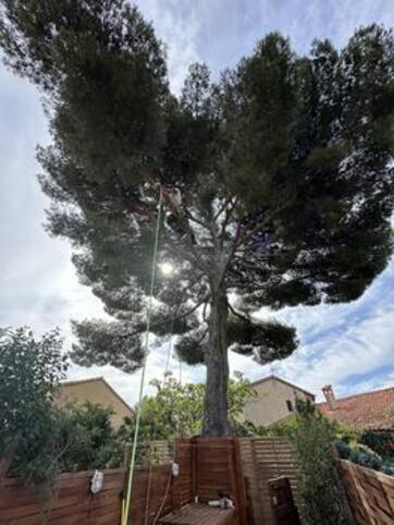 Entretien de jardin Bandol 